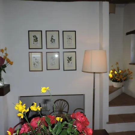 Bellavista - Piscina Ad Uso Esclusivo * Celle sul Rigo